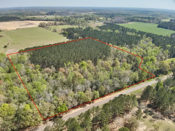 2 Saint Mary Rd, Cottonwood, AL 36320