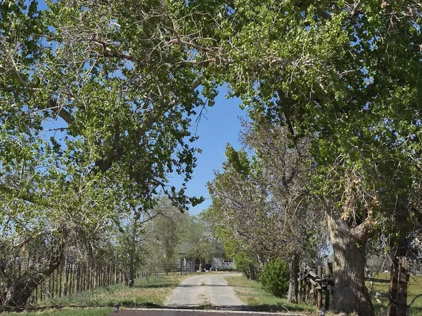 3280 Lone Tree Rd, Fallon, NV 89406