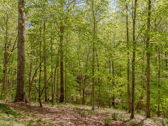 5th image of 1081 Double Tree Ct Lot 89