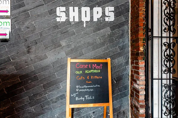 Rented by MySpaceNYC | media 14