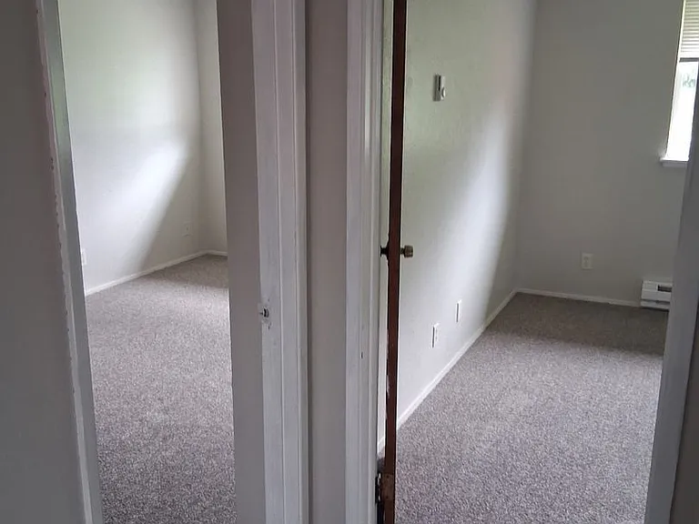 Rainier Vista — Photo 16