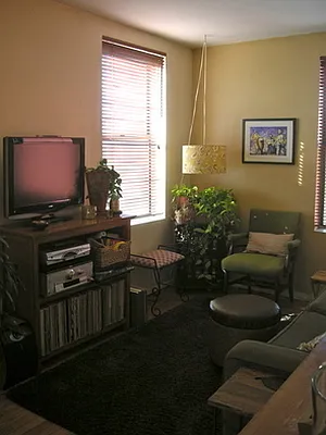 Rented by Rapid Realty Brooklyn Heights | media 52