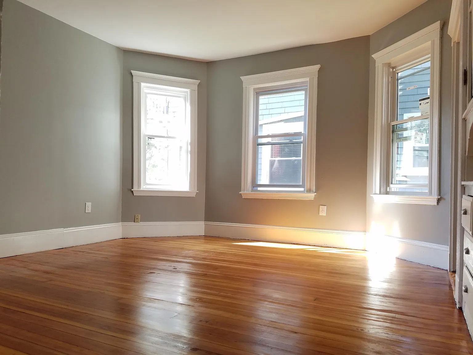 98 Topliff Street — Photo 4