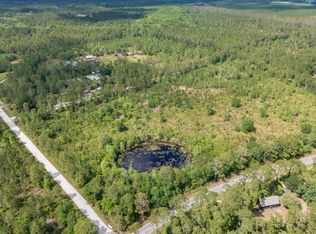 960 Shell Harbor Rd, Pierson, FL 32180