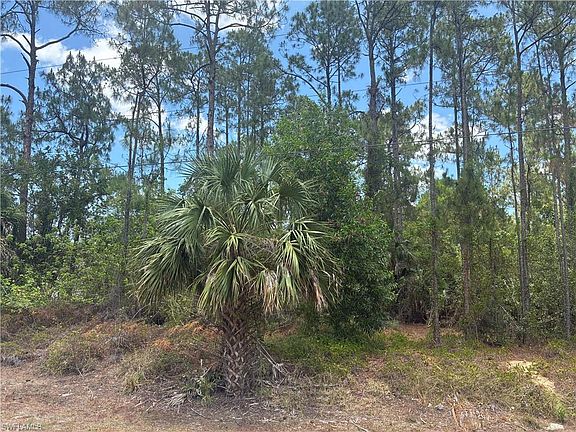 2nd image of 5043 Palmetto Woods DR