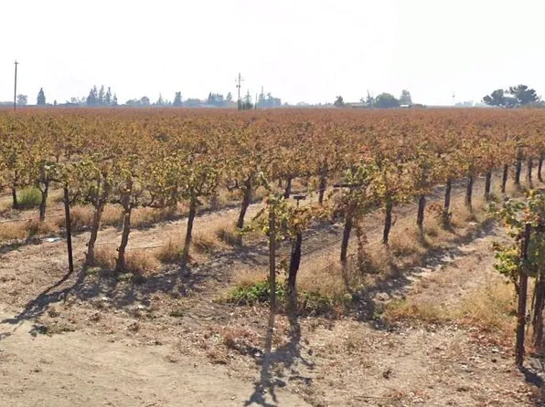 Harney 8700 E Harney Ln, Lodi, CA 95240