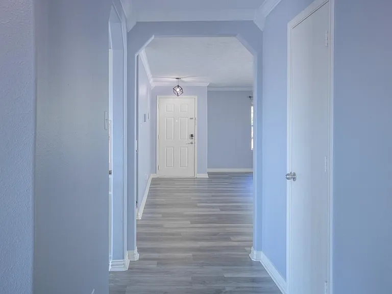 2814 Morton Cove Ln — Photo 13