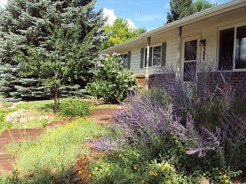 Lush Gardens in Summer