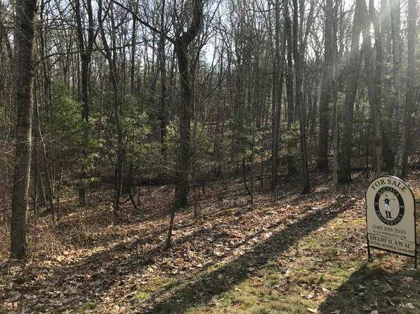 11 Sheep Meadow Rd #Hot, Hot Springs, VA 24445