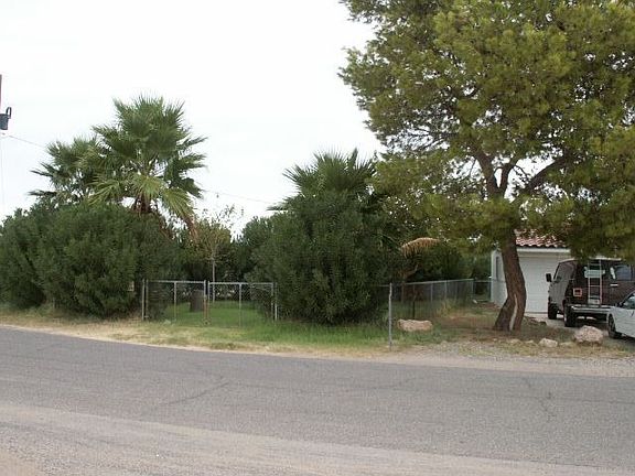 Mature Trees