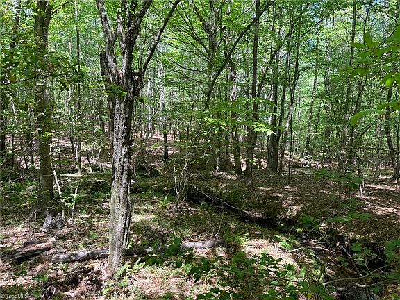 5th image of LOT 6 Thompson Rd