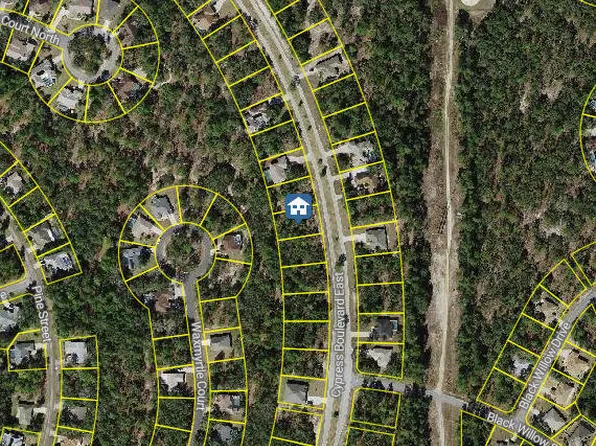 107 Cypress Blvd E, Homosassa, FL 34446