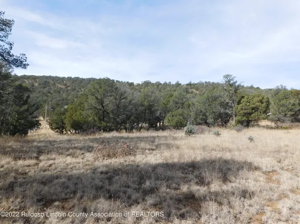 L95 Winterhawk Hts, Alto, NM 88312