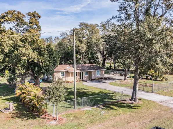 3307 Red Ruffle Ln, Dover, FL 33527