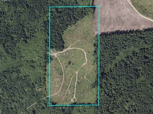 0 NE Healy Rd, Amboy, WA 98601