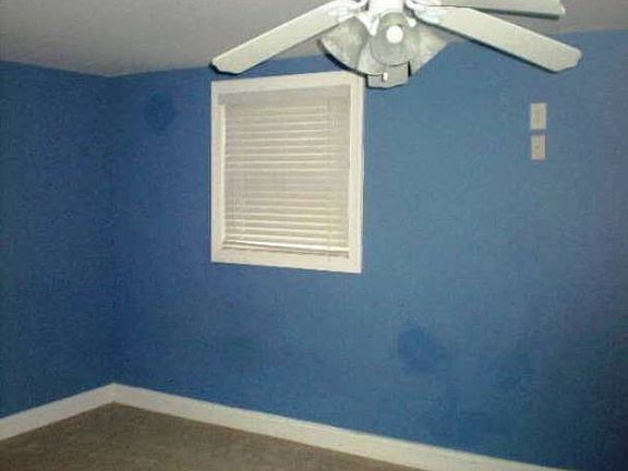 2nd image of 3731 Blueberry Dr