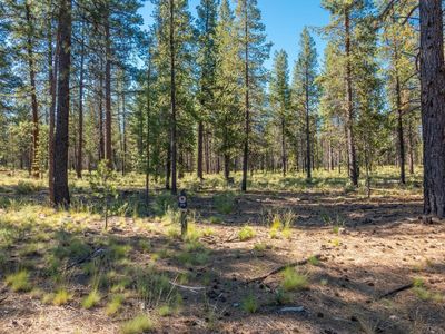 56225 Mirror Rock Loop, Bend, OR, 97707