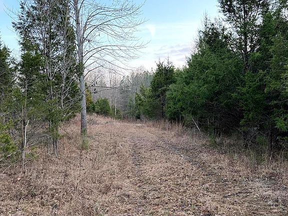 5th image of 0 Hornback Ln