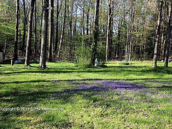 Backs up to woods