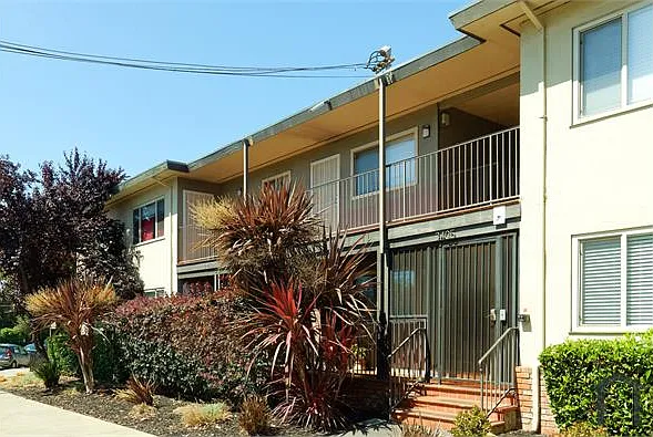 1 bed, 565 sqft, $1,749 — Photo 2