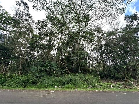 4th image of Kupono St Lot 78