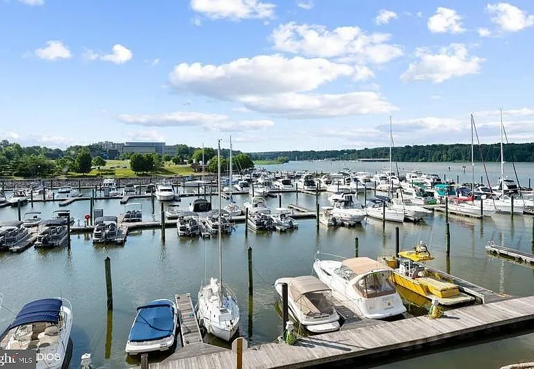 500 Belmont Bay Dr #205 — Photo 2