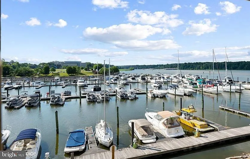 Building Photo - 500 Belmont Bay Dr #205