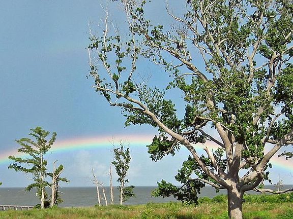 5th image of TBD Pelican Court LOT 65