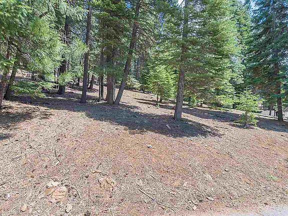 5th image of 115 Lake Almanor West Dr #1