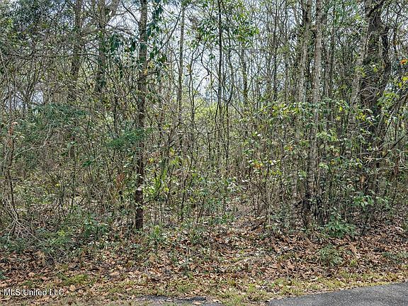 2nd image of Live Oak Ave Lot 5