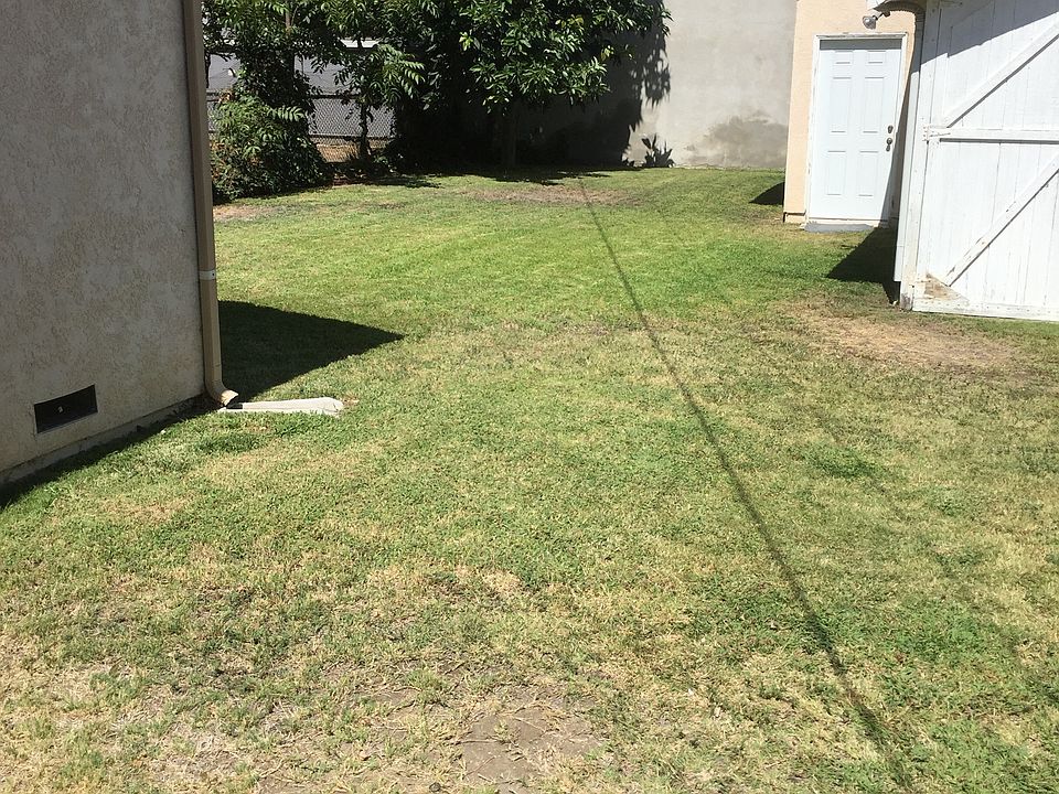 back yard