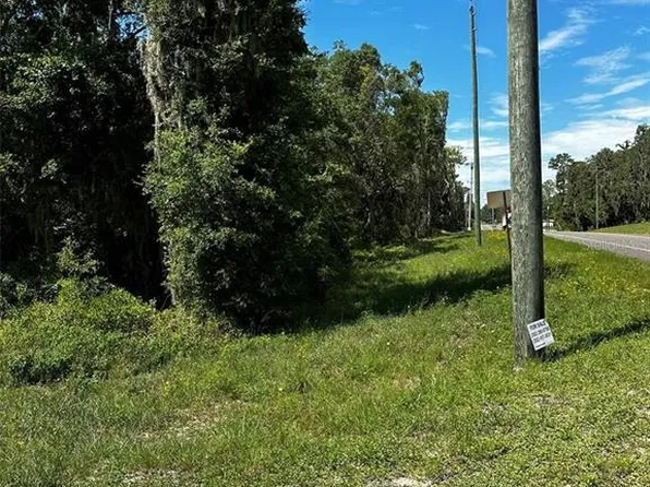 E Thrasher Dr Lot 1, Bronson, FL 32621