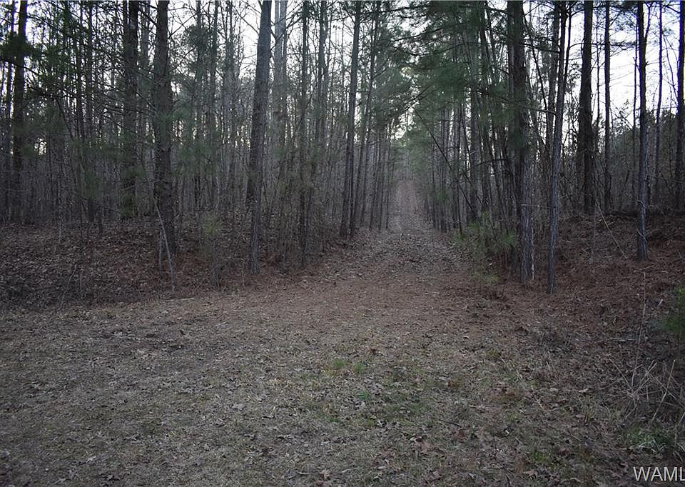 1st image of 875 Fawn Dr
