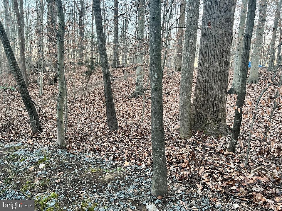 2nd image of 11687 Thunder Dr