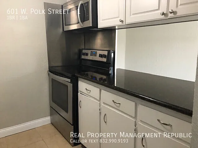 601 W Polk St #1 — Photo 8