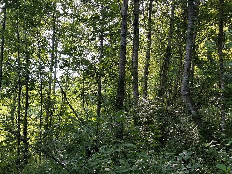2nd image of 1695 Doc Siler Rd