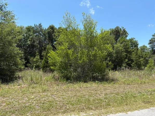 6642 N Flower Ter Lot 7, Hernando, FL 34442