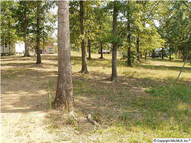 2nd image of 84 County Road 625