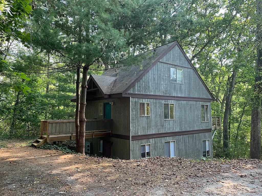 1 bed, $1,300 — Photo 2