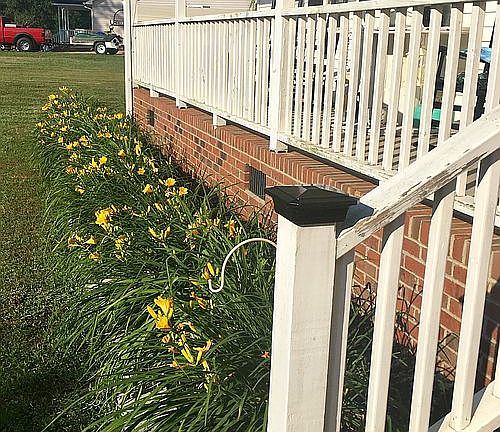 Establish landscaping 