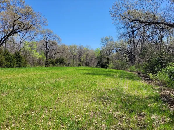 8383 Pike County Rd #55, Frankford, MO 63441