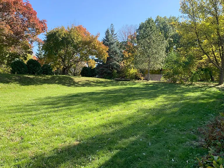Great backyard in quiet neighborhood
