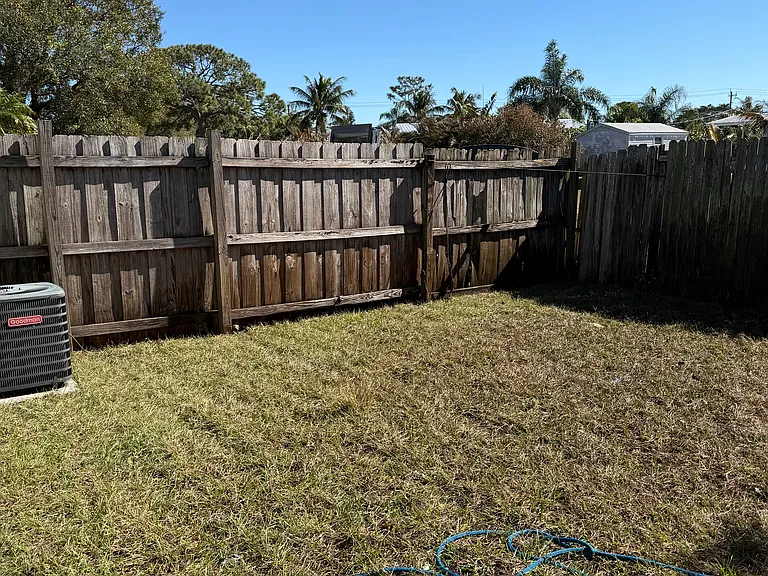 Back yard