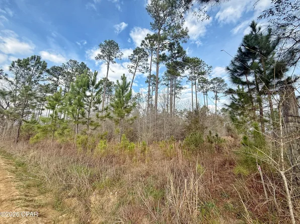 0 Palmview Rd, Cottondale, FL 32431