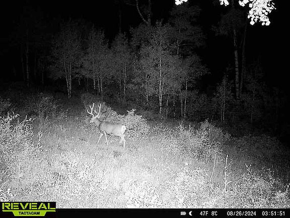 3rd image of County Road 13 Lot Wp001