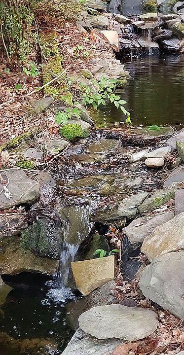 2nd image of 4672 Melody Rd