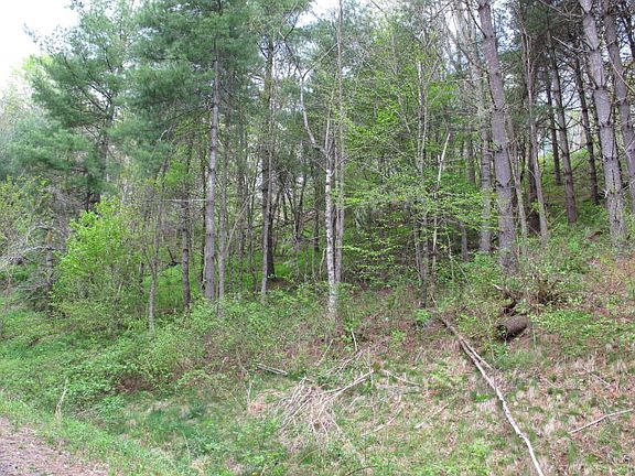 3rd image of Leaning Pine Drive