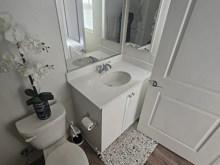 31409 Linden Flower Rd — Photo 8