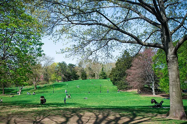 Rented by Compass | media 33