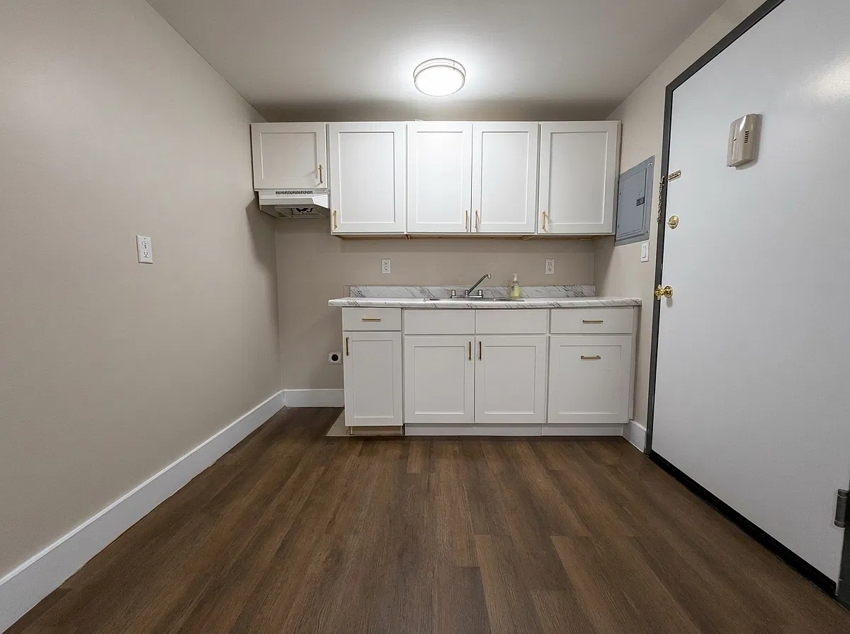 Studio, 500 sqft, $1,495 — Photo 3